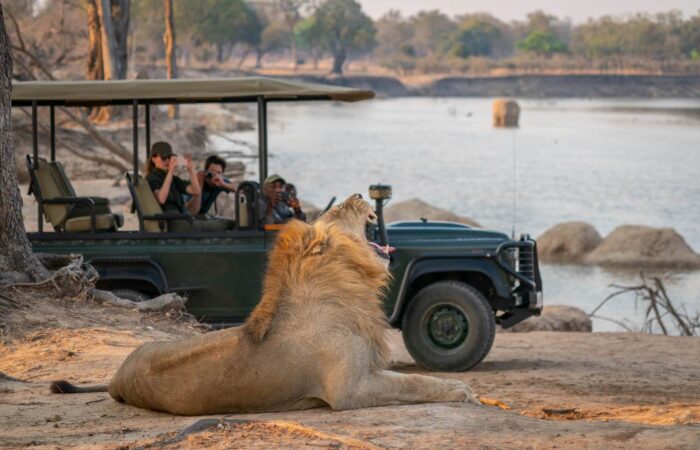 game-drive-zambia