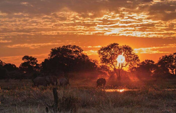 Khwai River Lodge – Sunset