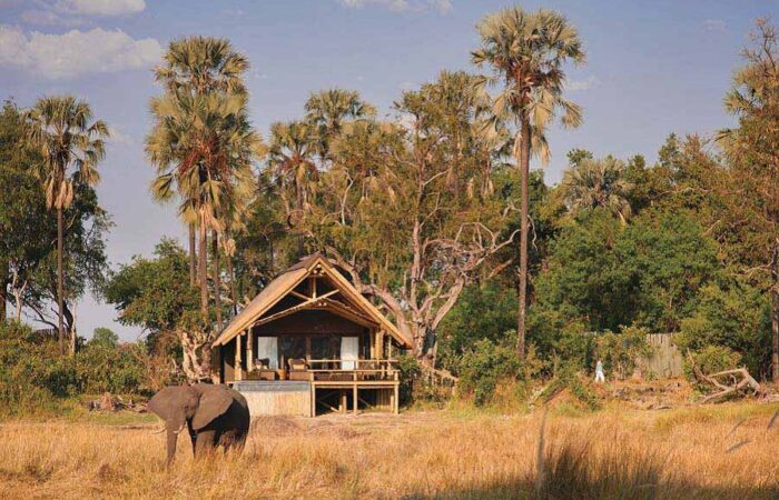 Eagle Island Lodge – Luxury Safari Tent